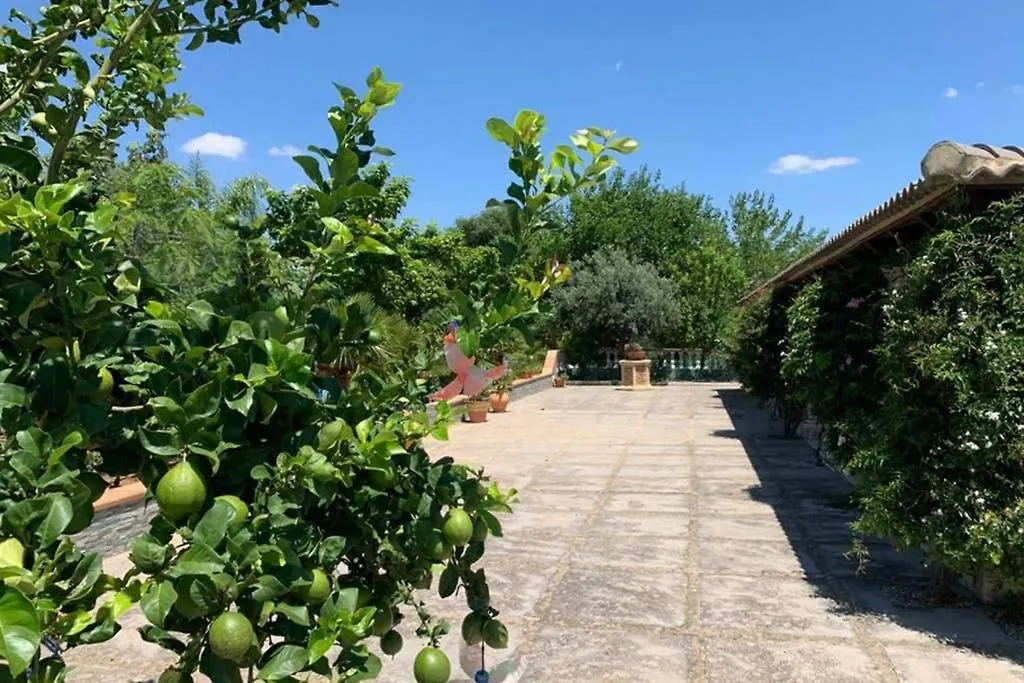 Casa Rural Finca Las Tejoneras Bornos Spanien