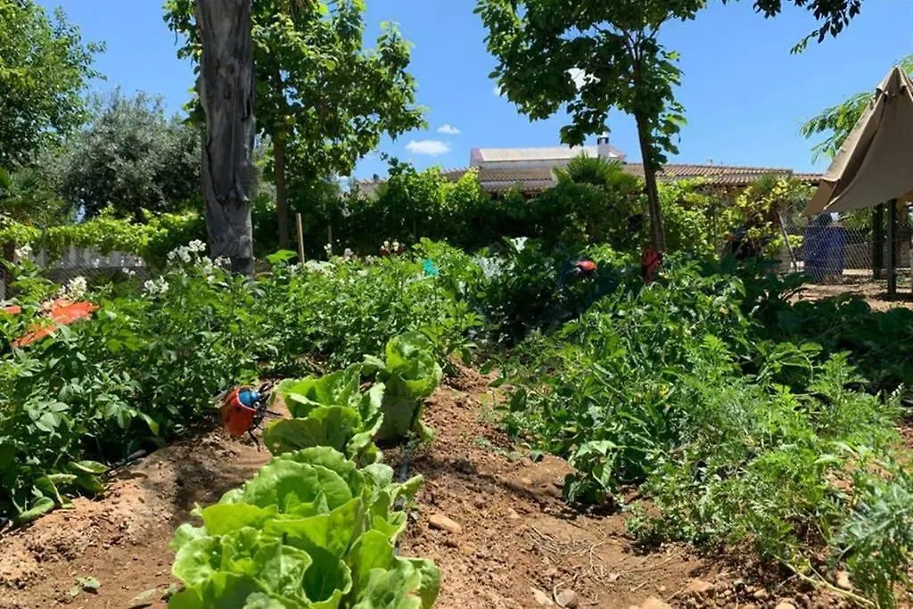 Casa Rural Finca Las Tejoneras 보르노스 0*,  스페인