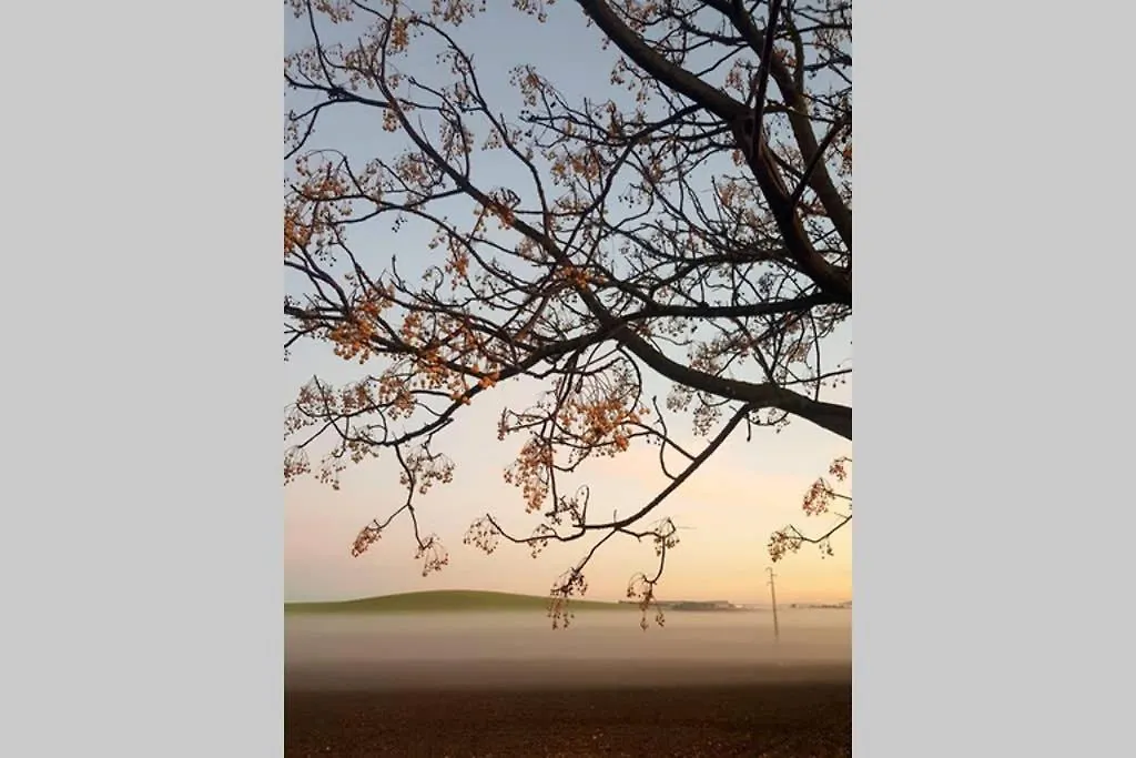 샬레 Casa Rural Finca Las Tejoneras 보르노스 스페인