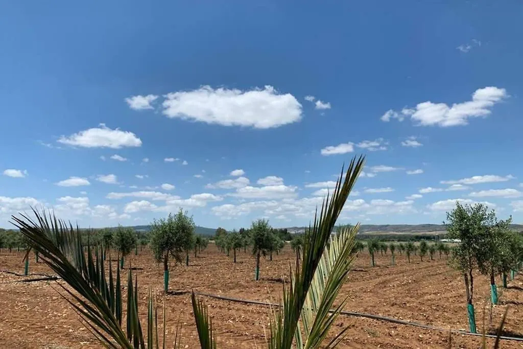Alpstuga Casa Rural Finca Las Tejoneras Bornos