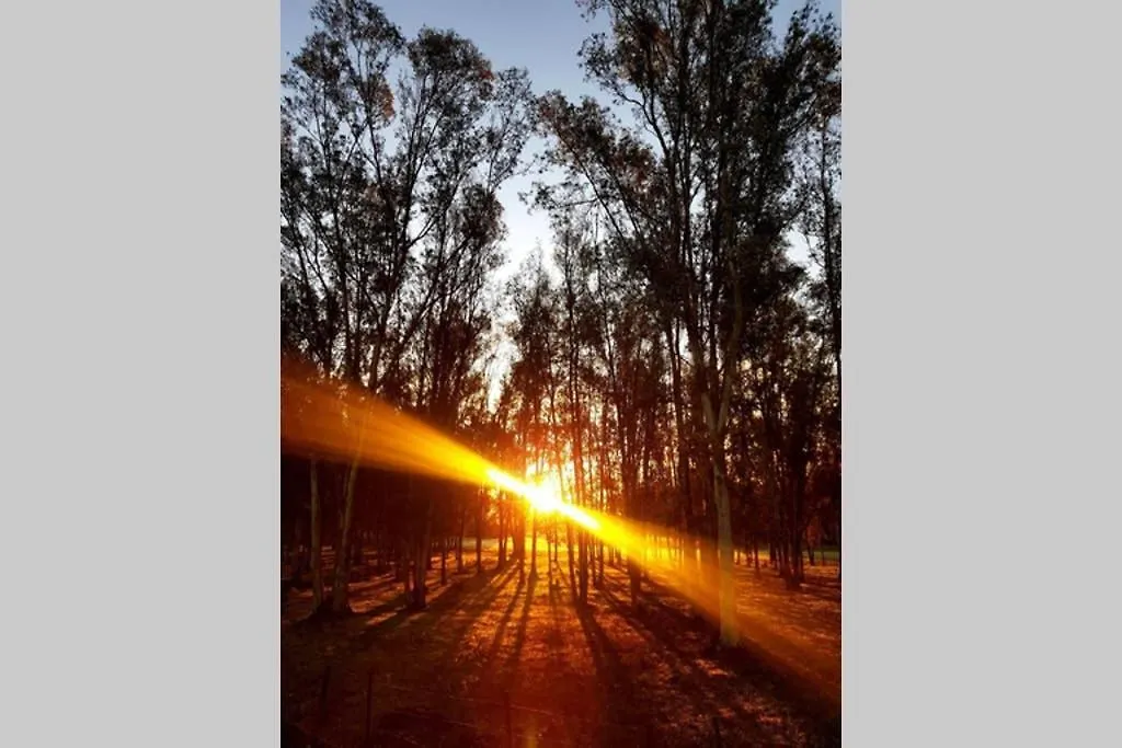 Casa Rural Finca Las Tejoneras Bornos Alpstuga