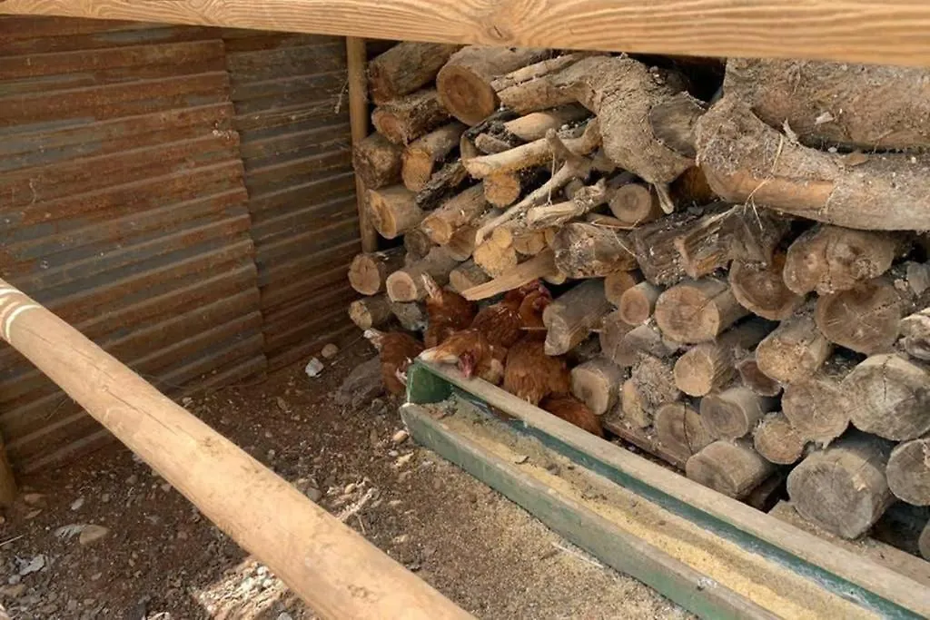 Alpstuga Casa Rural Finca Las Tejoneras Bornos